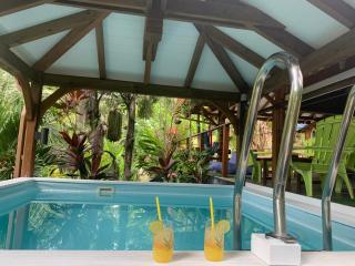 Les îlets caraïbes vue mer - 8