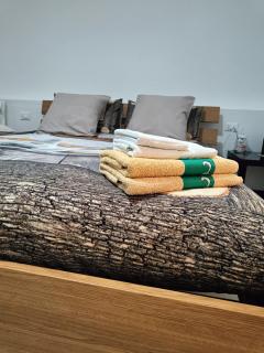 MANZONI APARTS - Comfort SUITE - San Pellegrino Terme - 3