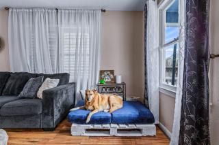 The Blue Oasis With Handicap Ramp Access Dog Friendly & Cowboy Pool - Galveston - 4