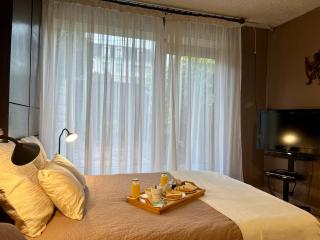 Entre Paris et Disneyland Studio avec terrasse privée - Gagny - 9