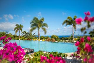 Golden Rock Dive and Nature Resort - Oranjestad - 8