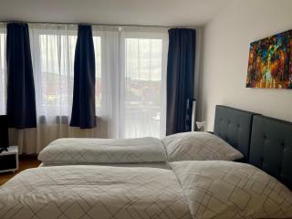 Etzel Ferienwohnung (Main Riverview) - Würzburg - 1