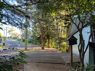 Nature lover’s comfy forest house for large group - - 7