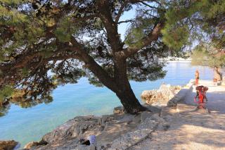Apartments and rooms by the sea Trogir - 22597 - Trogir - 6