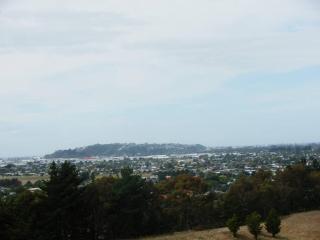 The Rise - Napier - 6