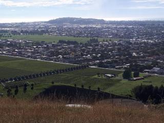The Rise - Napier - 8