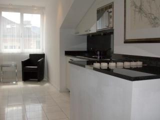 VISIONAPARTMENTS Freyastrasse - contactless check-in - Zurigo - 9