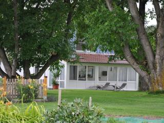 Walnut Modern retreat - 4