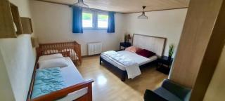 The adorable Catalan owl!!! - Gérardmer - 1