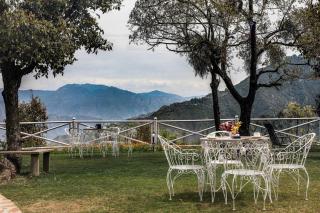 The Mountain Quail - Mussoorie - 6