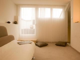 VISIONAPARTMENTS Gerechtigkeitsgasse - contactless check-in - Zurigo - 9