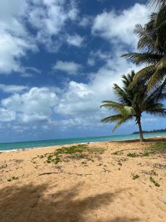 Sleek 3-Bdr Oasis Villa Iris - Luquillo - 8