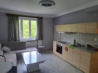 One-bedroom flat near Prater and Messe Prater - Wien - 2