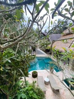 Akasha New Earth Haven Villa - 9