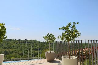 Volare e Cantare Villa with heated pool - Momjan - 4