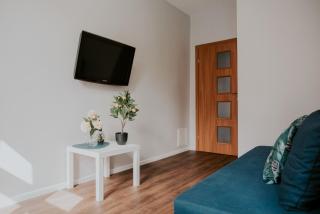 Lemon Tree Apartament Św Ducha Gdańsk - Gdańsk - 3