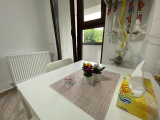 Morii Lake Apartaments & Studios - Bucharest - 4