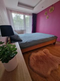 Apartment Kurši - Kolka - 7