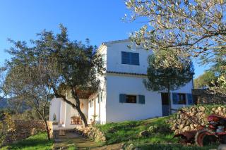 Finca Jabali - Lliber - 9