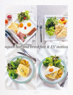 Ngeeb bed and EV station - Chiang Rai - 3
