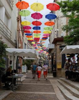 Cocon Bois-Joly - Joigny - 2
