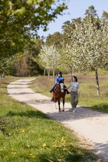 Van der Valk Resort Linstow - Linstow - 2