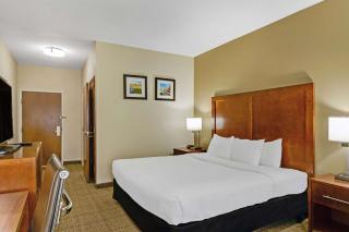Comfort Inn - Henderson - 2