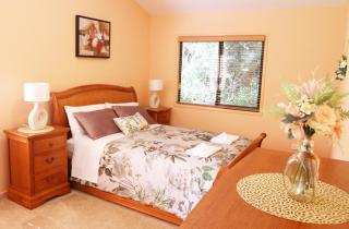 Rainforest Cabin in Doon Doon NSW - - 0