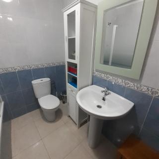 EL VIEJO OLMO - 5