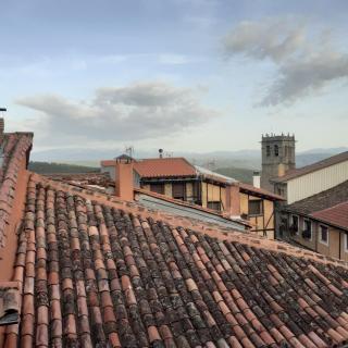 EL VIEJO OLMO - 3