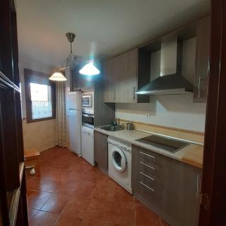 EL VIEJO OLMO - 1