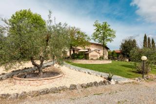 ASSO DI PICCHE - Siena - 9