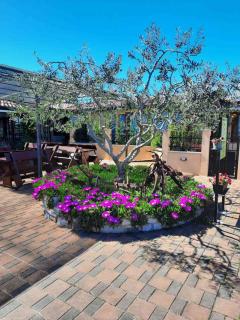 Monte studio app 4 - Umag - 9