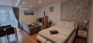 Apartament-Studio Polana Szaflarska - 8