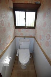 サウスウインズ - 2