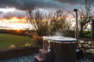 Bogee Farm - Padstow - 7