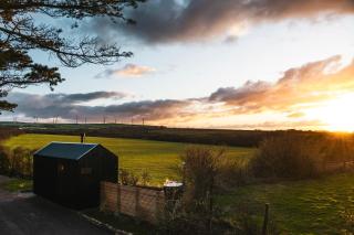 Bogee Farm - Padstow - 8