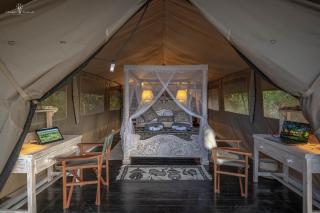 Mara Major Camp - Masai Mara - 6