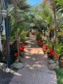 La casina di Simo - 5