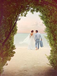 Taj Exotica Resort & Spa, Maldives - 3