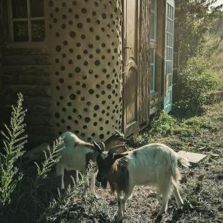 Maison organique à la mauvaise herbe - 9