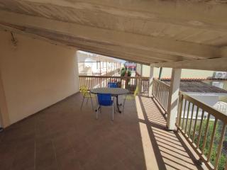 Oasis of Peace - Vir - 6