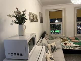 Cosy Flat in Central London - Londra - 9