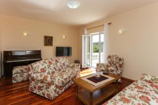 Apartments Vila Harmonia - Čilipi - 1