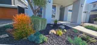 Luxury Hampton House with Heated pool - Narellan - 2