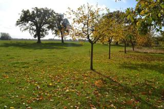 Alte Schule - - 4