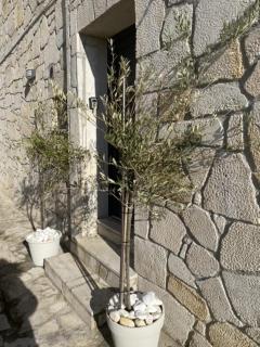 Afytos sea view - 2