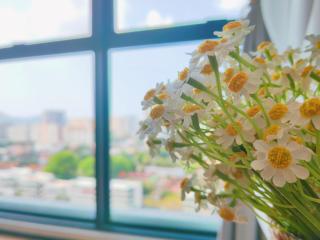 Urban Suites Georgetown Penang Affordable Family Cozy Experience with Sea & city Views - Jelutong - 4
