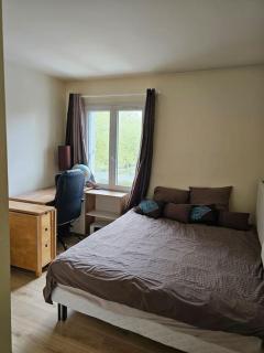 Appartement spacieux silencieux - Lognes - 3