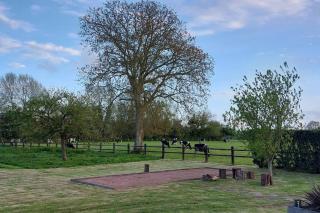 Maison de maître avec piscine - 3